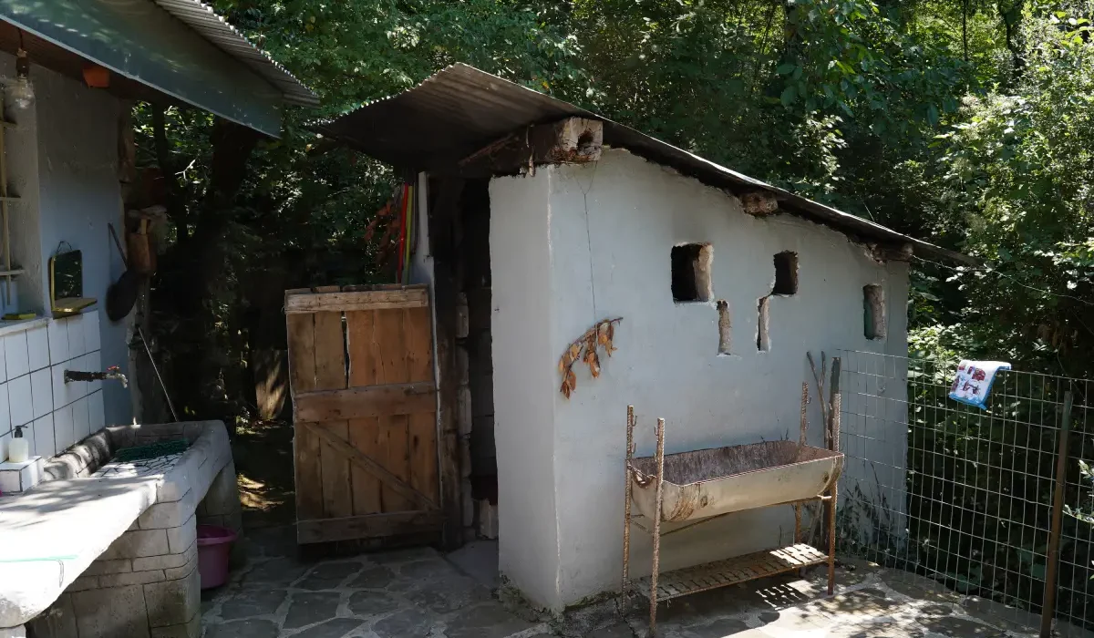 Σπιτάκι γάστρας